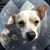 Jenn Stewart's profile image