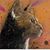 Allyson Thurber's profile image