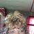La Wanda Anderson's profile image
