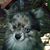 Donna Marie's profile image