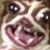 Ayven Nichols's profile image