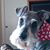 Patricia Brink's profile image