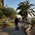Ibrahim Al Nasr's profile image