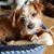 Karen S. Hight's profile image
