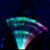 Samantha Milowsky's profile image