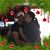 Tammy Genaw's profile image