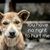 Jill Koby's profile image