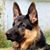 Pam Hartley's profile image