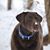 Diane Peacher Donaldson's profile image