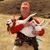 Barry Lueck's profile image