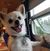 Christine Robichaud's profile image