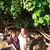 Susan Warren Roberts's profile image