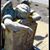Carol LaMothe's profile image