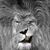 Jason T. Dorris's profile image