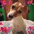 Greg Egendoerfer's profile image