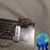 Jackie Bartling's profile image