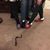 Tammy Luscombe's profile image