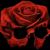 Martha Cavazos's profile image