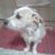 Holly Piasente's profile image