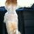 Mary Jo Cavaliere's profile image