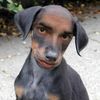 Harold J.'s profile image