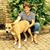 Janet Schroeder's profile image