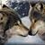 Marthi LaTondras's profile image