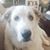 Joanna Bates's profile image