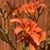 Maria DeMoss Troutman's profile image