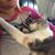 Shauna Rae Christensen's profile image