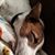 Amy Poling's profile image