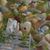 Marcy Herron Hammerschlag Cyter's profile image