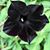 Heather Morrison-Scott's profile image