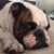 Peggy Shannon Blue's profile image