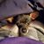 Arica Therrien's profile image