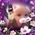 Jeannine Hite's profile image