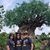 Melissa Medley Siener's profile image