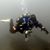 Rickey Bell's profile image