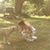 Heather Rachelle Woods's profile image