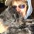 Nancy Branger Okerman's profile image