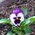 Lee Ann Medina's profile image