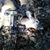 Calton Moritz's profile image