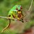 Vadim Homjakov's profile image