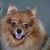 James Dufresne's profile image