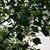 Deb Suppes's profile image