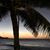 Ramona DeCosta's profile image