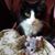 Donna Gerhard's profile image