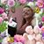 Angie Colling's profile image