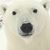 Chris Clark's profile image