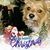 Evelyn Bunn's profile image